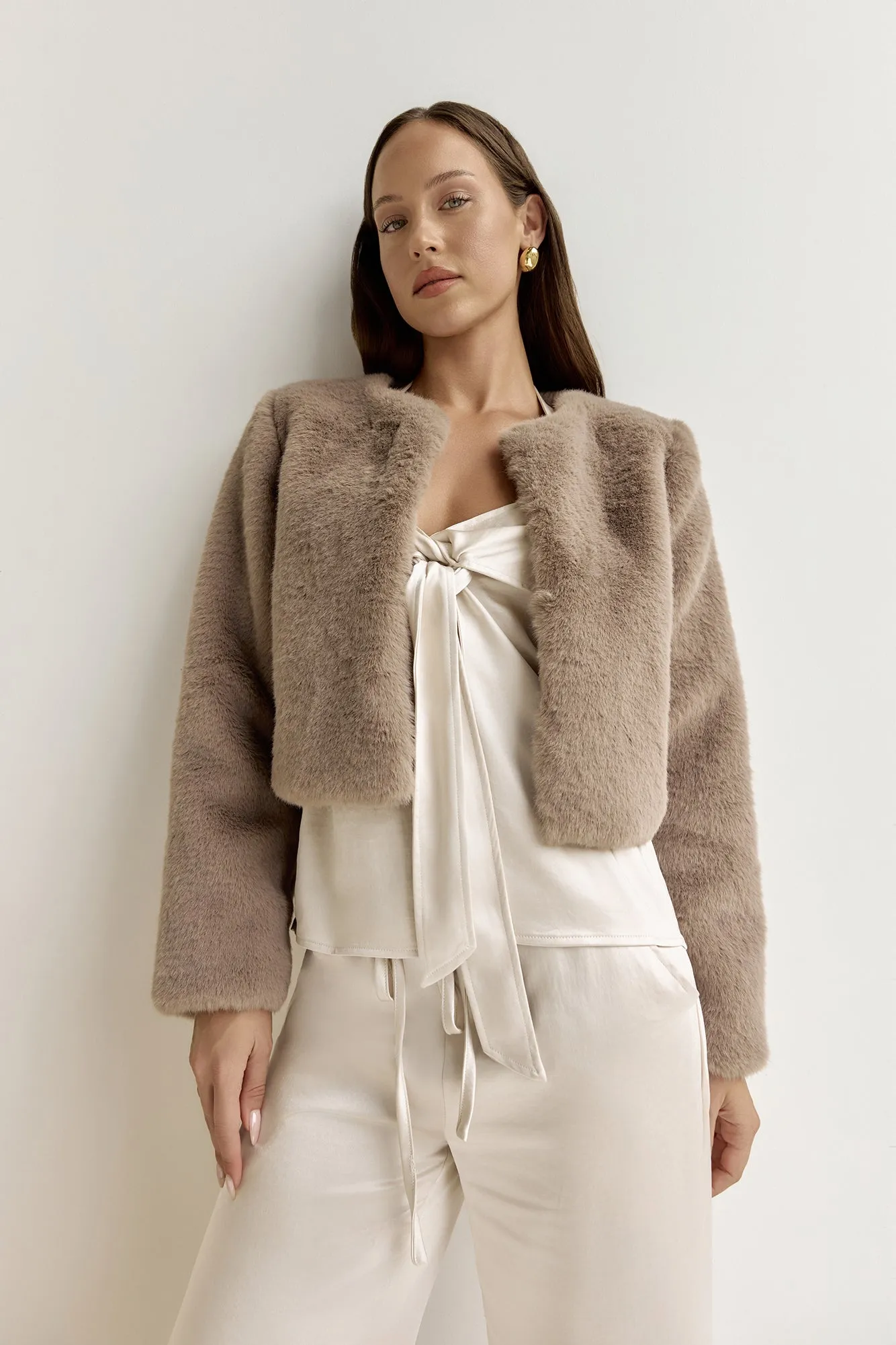 Day By Day Faux Fur Cropped Jacket Brown